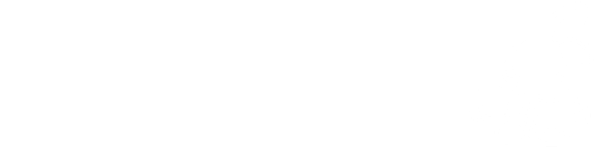 CS60∞usagi